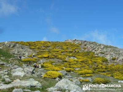 Parque Regional Sierra de Gredos - Laguna Grande de Gredos;club trekking;rutas y senderismo madrid